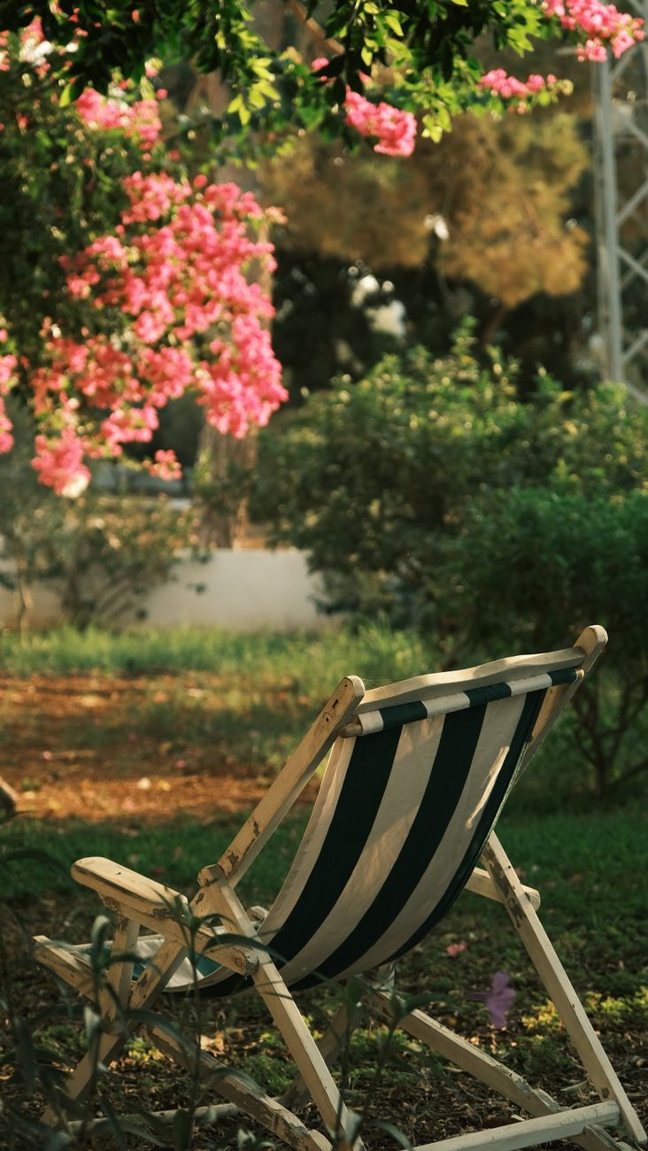 a chair in the shade of a tree with pink flowers